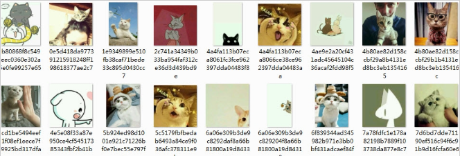 同一系列的可爱猫咪头像宠物情头图片大全截图（1）