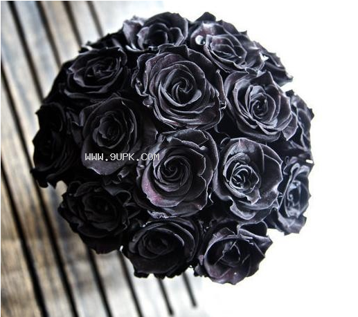 唯美黑色玫瑰花图片大全 截图（1）