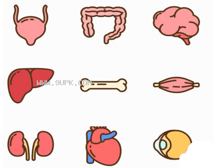 人体内脏图标截图（1）