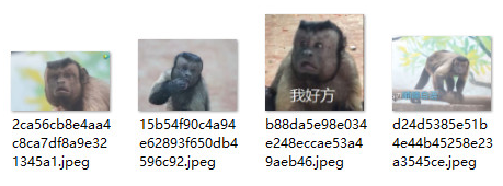 惊恐国字脸猴子qq表情包