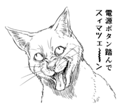 hanseishinai猫qq表情包免费版