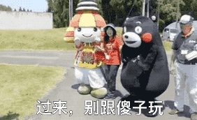 什么是旅游熊本熊qq表情包
