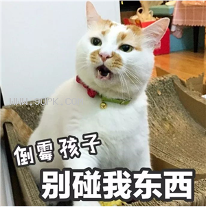 楼楼猫咪国庆节带字表情包下载截图（1）