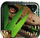 恐龙探险27.1.1无限制版