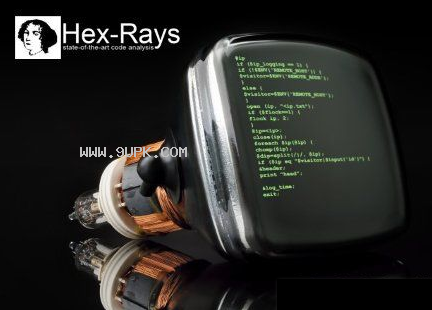 Hex-Rays IDA Pro
