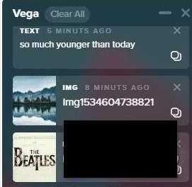 Vega Clipboard截图（1）