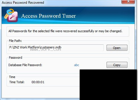 Cocosenor Access Password Tuner截图（1）