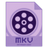 Dimo MKV Video Converter