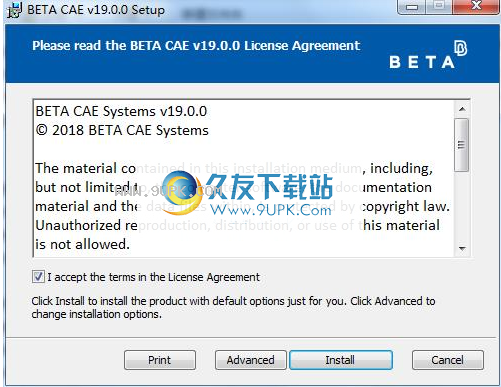 Beta CAE Systems