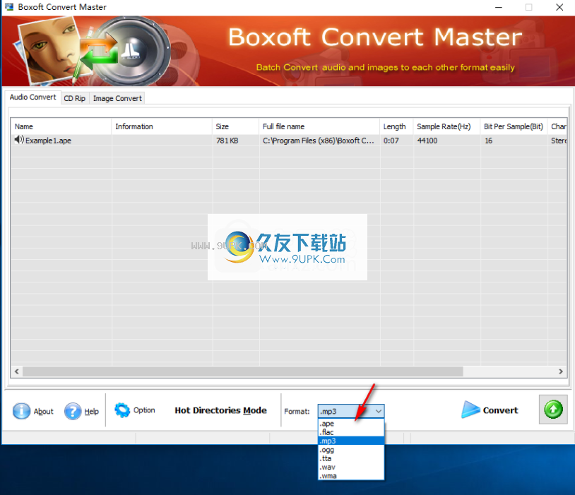 Boxoft Converter Master