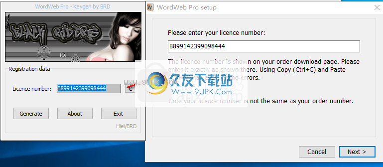 WordWeb Pro 9