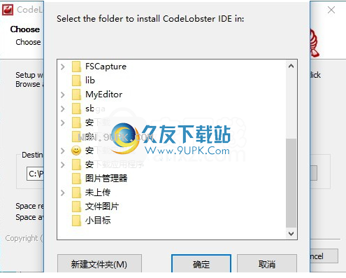 CodeLobster IDE Professional