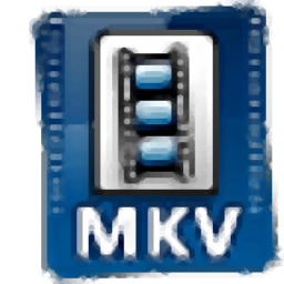 艾奇MKV视频格式转换器