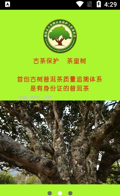 茶皇树截图（2）