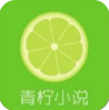 青柠小说 V1.1.5安卓最新版