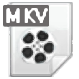 4Easysoft MKV Converter