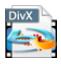 4Easysoft Blu-ray to DivX Ripper