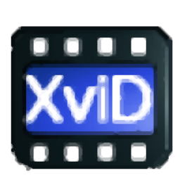 4Easysoft XviD ConverterV2022 正式版