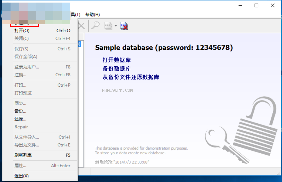 Password Manager XP Pro中文版截图（2）