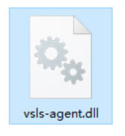 vsls-agent.dll截图（1）
