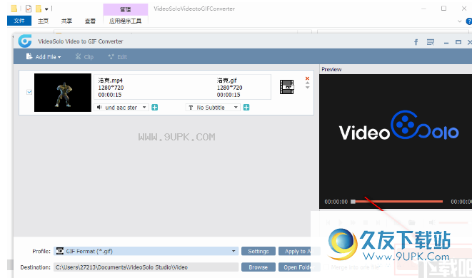 VideoSolo video to GIF Converter