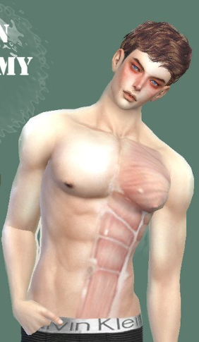 模拟人生4人体解剖皮肤MOD截图（1）