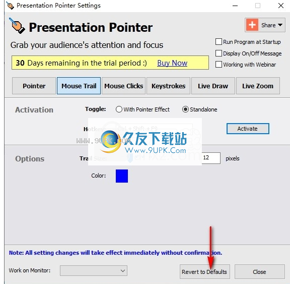 Presentation Pointer