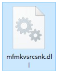 mfmkvsrcsnk.dll截图（1）
