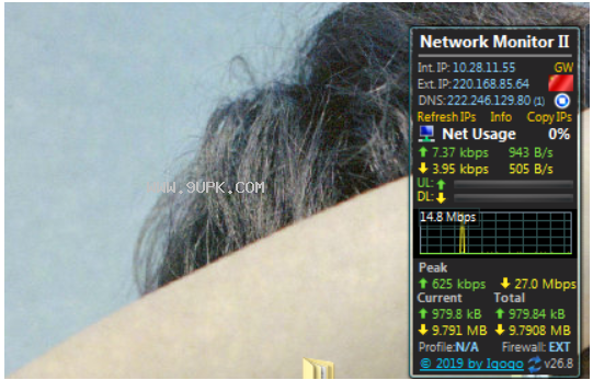 network monitor ii截图（3）