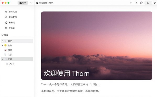 Thorn写作 v0.1.39官方版