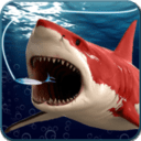 垂钓鲨鱼v1.0安卓版