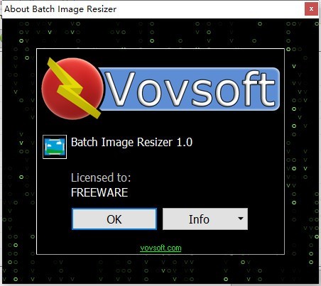 VOVSOFT Batch Image Resizer(图像调整器)免费版截图（2）