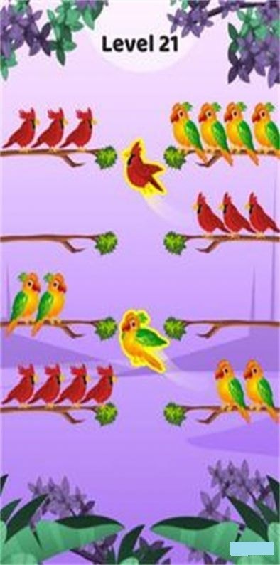 鸟类颜色排序截图（2）