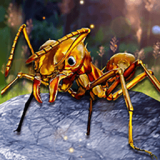 解救星际小蚂蚁v1.1 安卓版