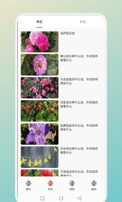 一花植物截图（2）