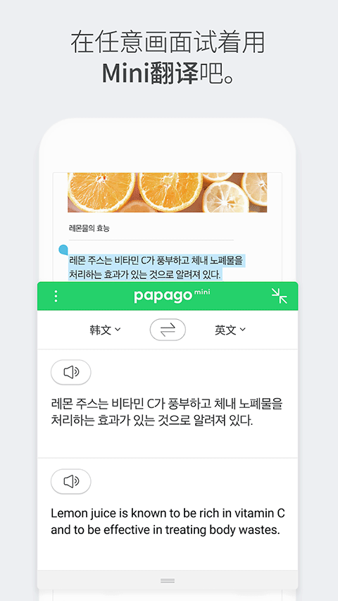 papago中韩翻译app截图（2）