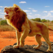 狮子王模拟器v1.0.4