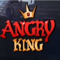 愤怒的国王无敌版v1.0