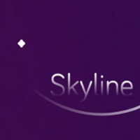 skyline模拟器汉化版v3.0