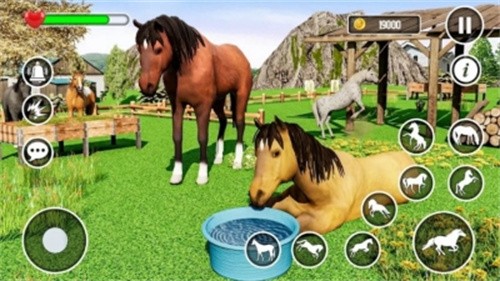 虚拟野马动物模拟器截图（2）