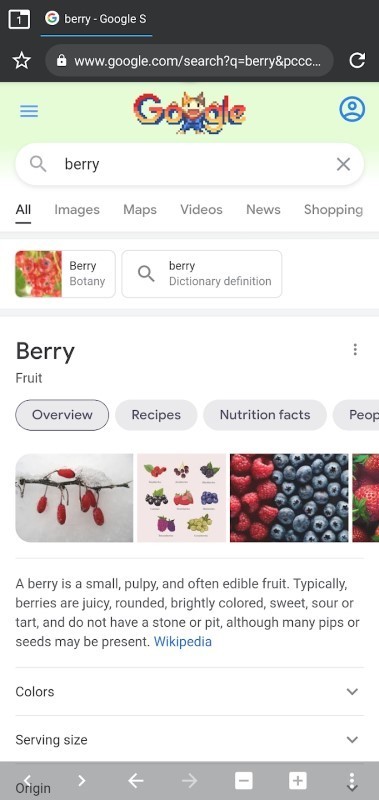 berry浏览器截图（2）