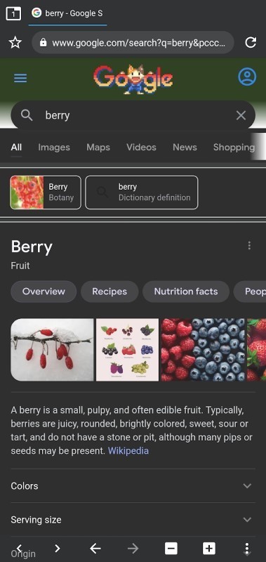 berry浏览器截图（3）