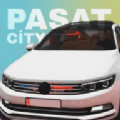 帕萨特汽车之城v1.0