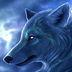 灰狼模拟器3D 1.1.3安卓版