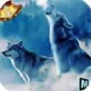 北极狼群3D 1.2安卓版