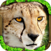 猎豹模拟器 1.4安卓版