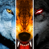 3D野狼模拟器 1.1.3安卓版