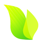 绿果货运 1.1安卓版