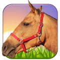 骑马3D 1.1安卓版