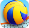 沙滩排球3D 1.0.2安卓版